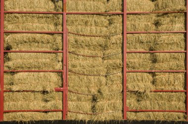 Hay bales piled within a cart clipart