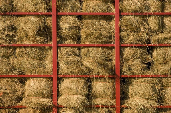Упакованные в тележку тюки сена — стоковое фото