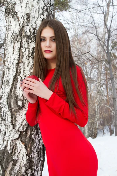 Menina em vestido vermelho e com uma maçã vermelha em um contexto de um vidoeiro — Fotografia de Stock