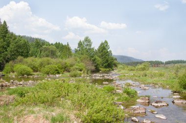 Küçük dağ nehir temiz su ile 