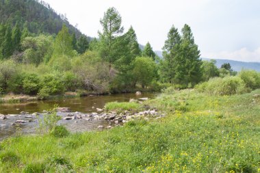 vogel huis in afwachting van