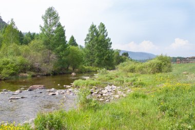 vogel huis in afwachting van
