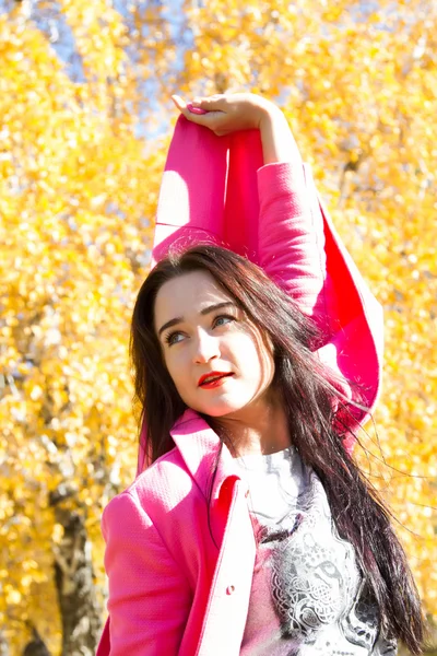 Niña sobre un fondo de hojas amarillas de otoño — Foto de Stock