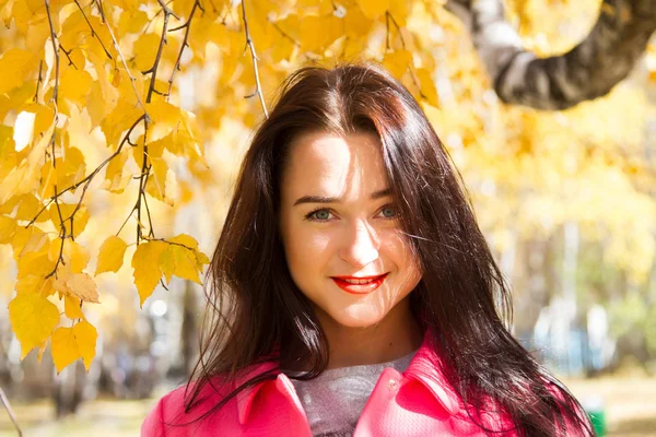 年轻的女孩，背景为黄色的秋天叶子 — 图库照片