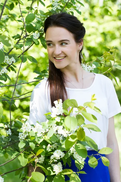 Young girl on a background of a blossoming bird cherry — Stock Photo, Image