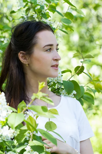 Niña sobre un fondo de un pájaro en flor cerezo —  Fotos de Stock