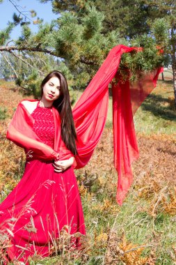 Sarı arasında kırmızı akşam elbiseli kız eğreltiotu yaprakları