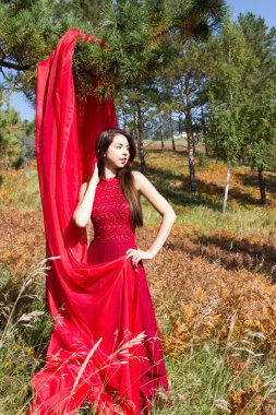 Sarı arasında kırmızı akşam elbiseli kız eğreltiotu yaprakları