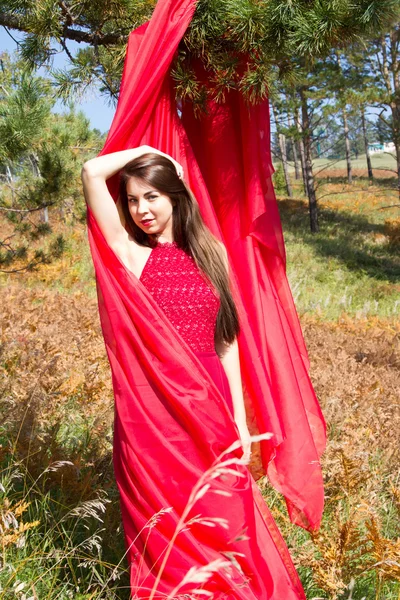Gadis dalam gaun merah malam di antara daun kuning dari pakis — Stok Foto