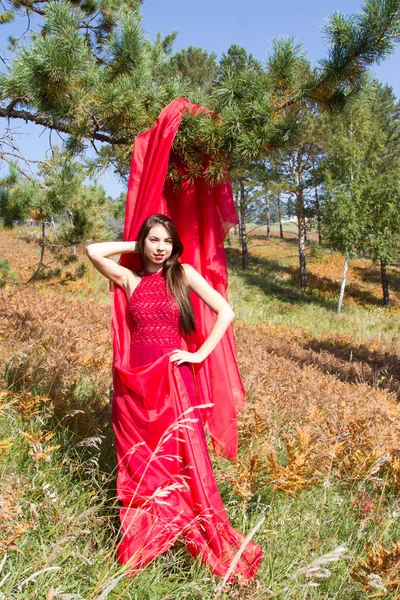 Girl in a red evening dress among the yellow leaves of a fern — Stock Photo, Image