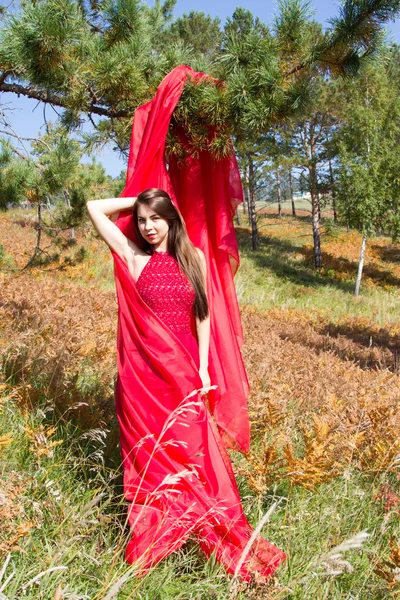 シダの葉の黄色の間で赤いイブニング ドレスの女の子 — ストック写真
