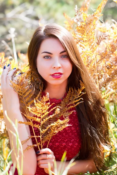 Dziewczyna wyglądu Słowian, wśród żółtych liści paproci — Zdjęcie stockowe