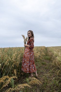 Olgun kulakların arasındaki tarlada bir kız