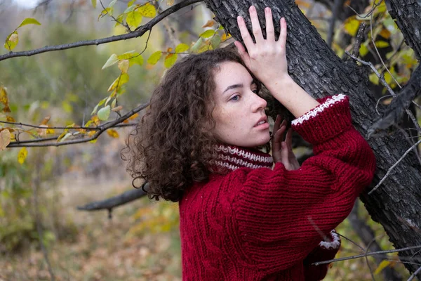Girl Warm Knitted Sweater Autumn Forest — Stock Photo, Image