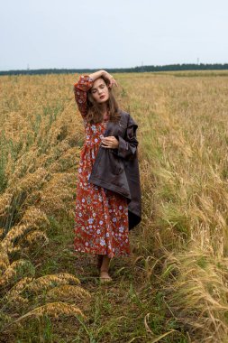 Bir tarlada, olgun arpa kulaklarının arasında