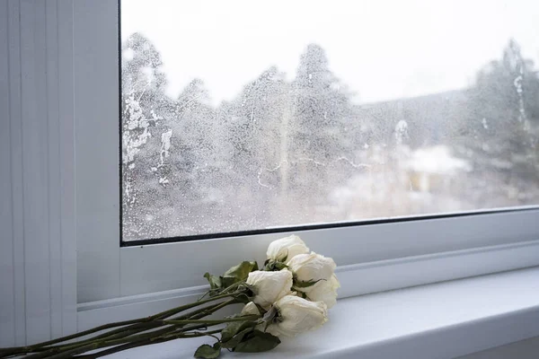 Букет Заморожених Троянд Підвіконні Пластикового Вікна — стокове фото
