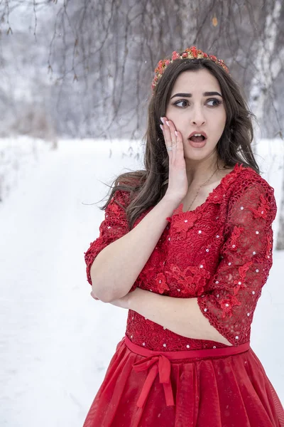 Ung Flicka Röd Klänning Bakgrund Snöig Skog Vinterporträtt — Stockfoto