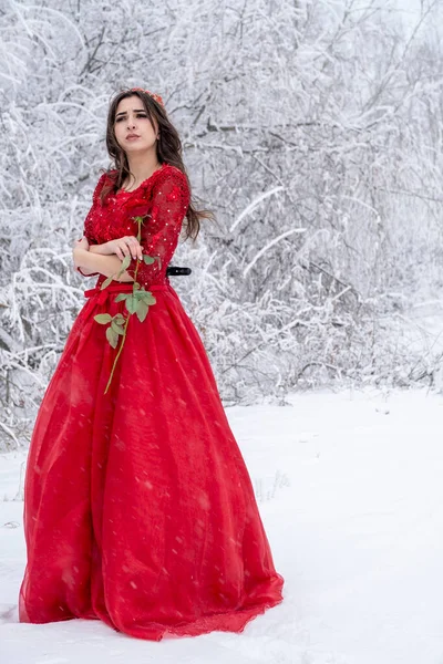 Muchacha Joven Vestido Rojo Largo Sostiene Una Rosa Sus Manos —  Fotos de Stock