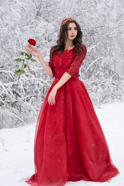 Jovem Vestido Vermelho Longo Segura Uma Rosa Suas Mãos Retrato — Fotografia de Stock