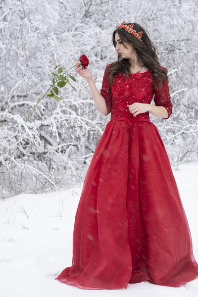 Ein Junges Mädchen Einem Langen Roten Kleid Hält Eine Rose — Stockfoto