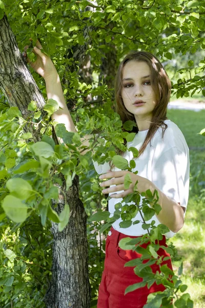 Vacker Ung Flicka Trädgården Bland Gröna Lövverk — Stockfoto