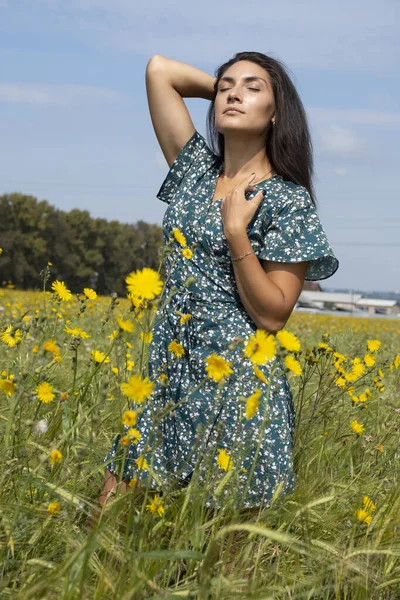 Schöne Schlanke Brünette Posiert Auf Einem Feld Zwischen Wildblumen Und — Stockfoto