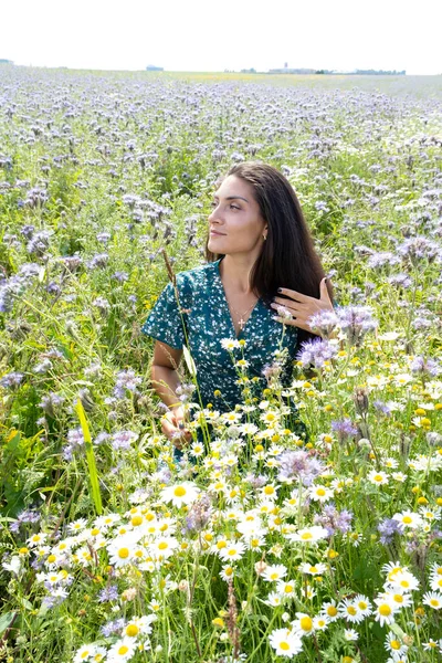 Young Girl Field Collects Wildflowers — Stock Photo, Image