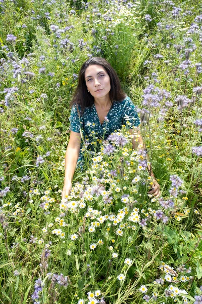 Junges Mädchen Auf Dem Feld Sammelt Wildblumen — Stockfoto
