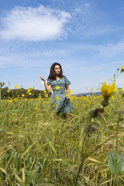 Niña Campo Caminando Campo Entre Flores Silvestres —  Fotos de Stock