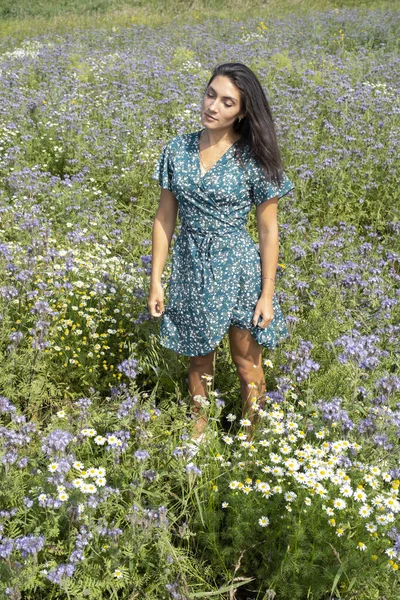 Junges Mädchen Auf Einem Feld Fuß Einem Feld Zwischen Wildblumen — Stockfoto