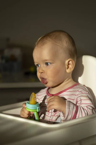 아기먹이는 의자에 어린아이 — 스톡 사진