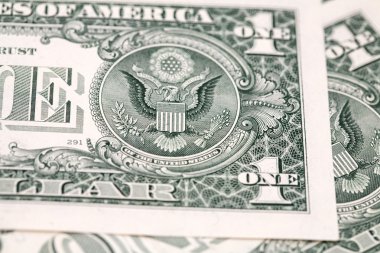bir Amerikan dolar faturaları ayrıntılarını
