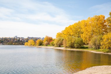 sonbahar park su birikintisi ile