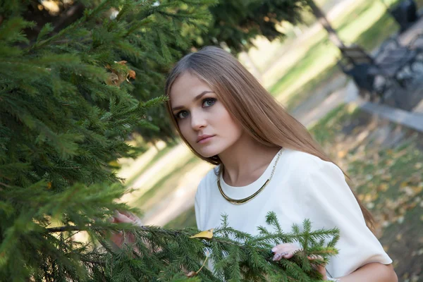 Porträtt av en ung affärskvinna med spruce grenar — Stockfoto