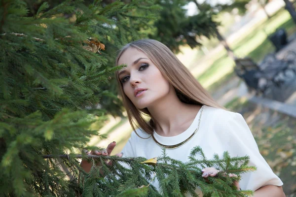 Porträtt av en ung affärskvinna med spruce grenar — Stockfoto