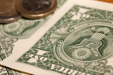 Bir dolarlık banknot portre