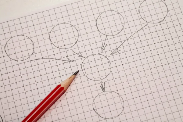 Diagrama dibujado en una página en una jaula — Foto de Stock