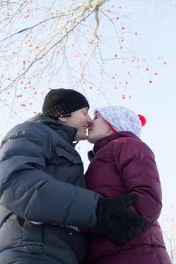 Aşıklar bir kış rowan zemin karşı çifti