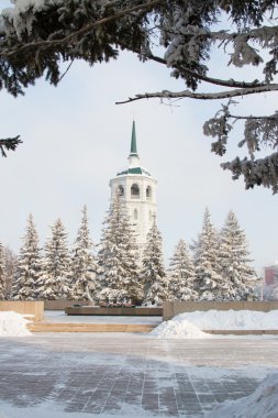 Karla kaplı göknar arasında Hıristiyan Kilisesi