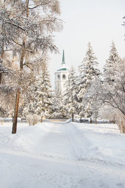 Christian church among the snow-covered firs — Stock Photo, Image