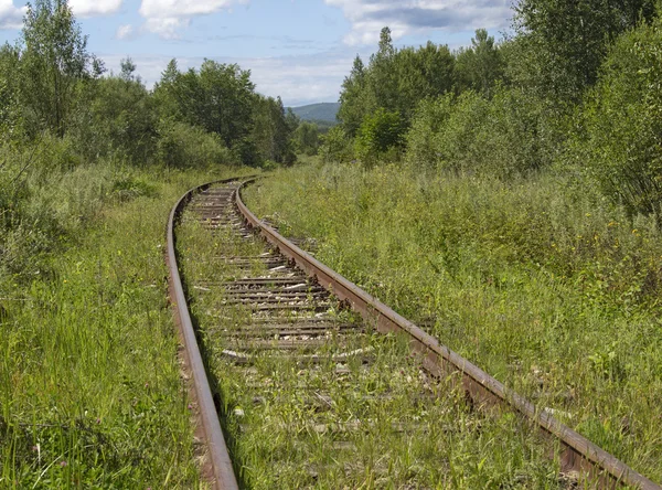 Пейзаж зі старою залізничною колією — стокове фото