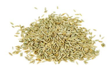 Yazılan tanecikler beyaz arkaplanda izole