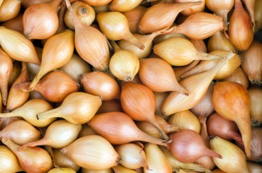 Arka plan: soğan
