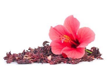 Fresh and dried hibiscus flowers clipart