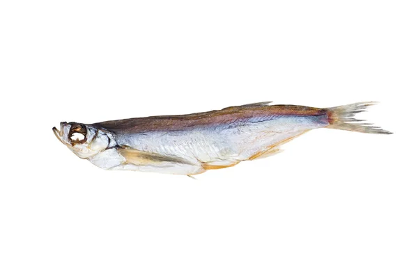 Naturally dried sabrefish — Stock Photo, Image