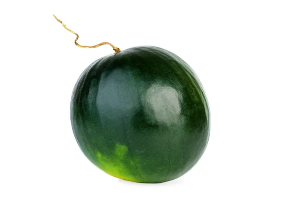 Frische grüne Bio-Wassermelone — Stockfoto