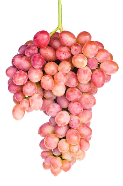 Fresh organic pink grape — Stock Photo, Image