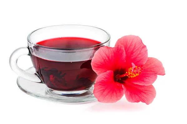 Hibiscus flor y té — Foto de Stock