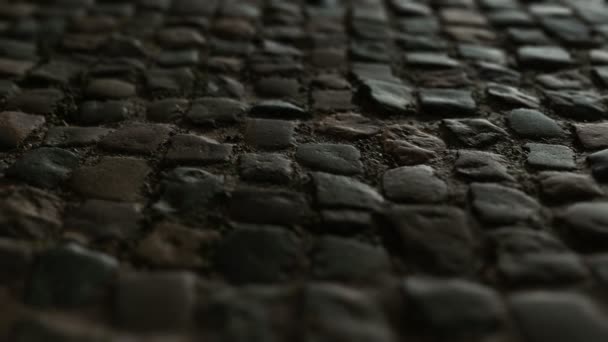 Stone blocks in the walkway — Stock Footage Stone blocks in the walkway Video Clip