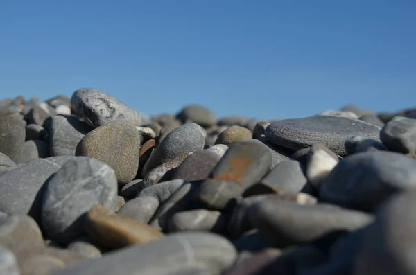 Sea Stones Sea Bottom View Close High Quality Photo — Stock Photo, Image